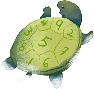 turtle