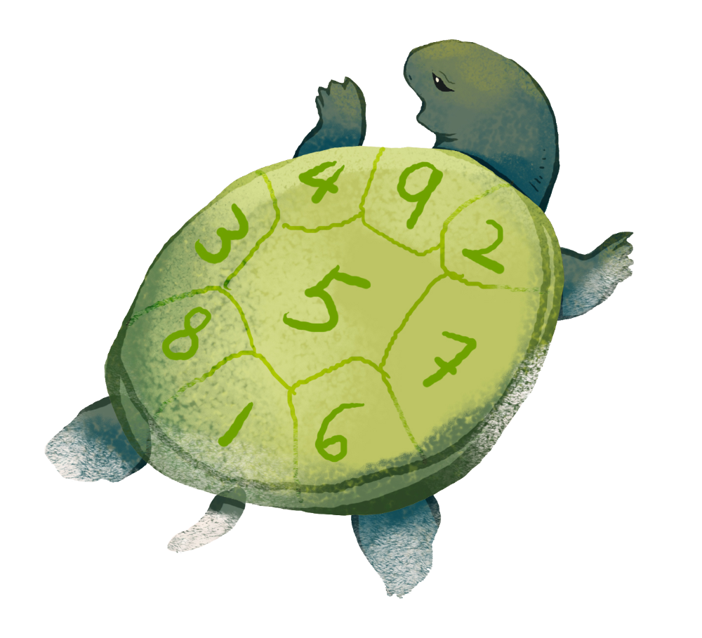 ACHI-turtle-1