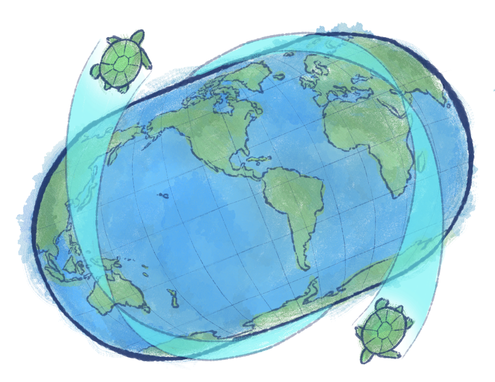TURTLESUMS-twintravelturtles-1
