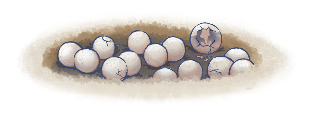 twins-1